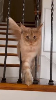 Похудел и испугался