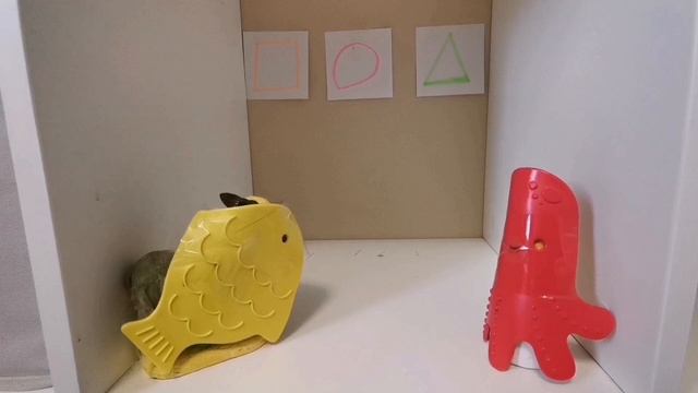 куроми игра в кальмара