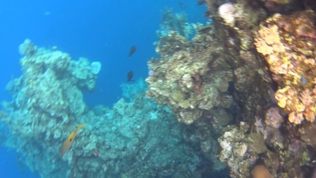 ЕГИПЕТ,МАРТ 2025