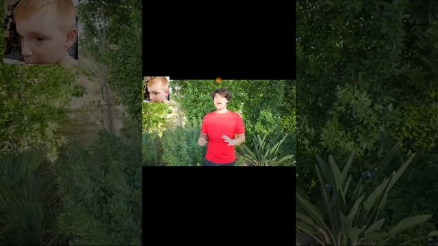 Ракция на близнецов стокс