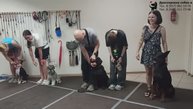 Занятие в группе по дрессировке: показ зубов. Тольятти, 31 июля 2025.