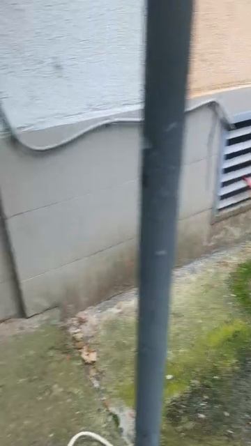 Голубые дали, 4