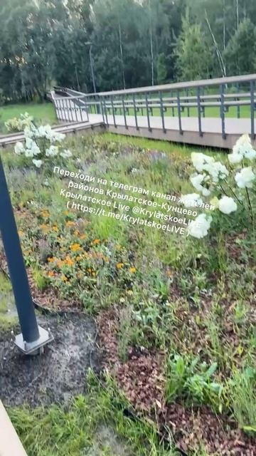 Жители поделились новыми кадрами с благоустройства поляны в парке на Крылатских холмах