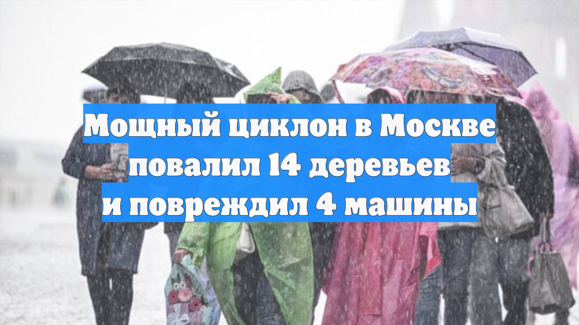Мощный циклон в Москве повалил 14 деревьев и повреждил 4 машины