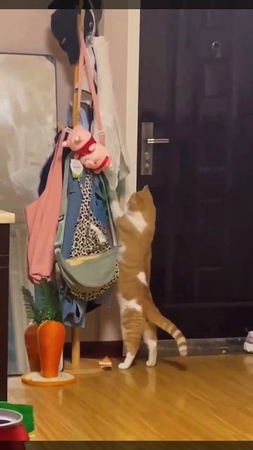 Когда неожиданно проснулась совесть