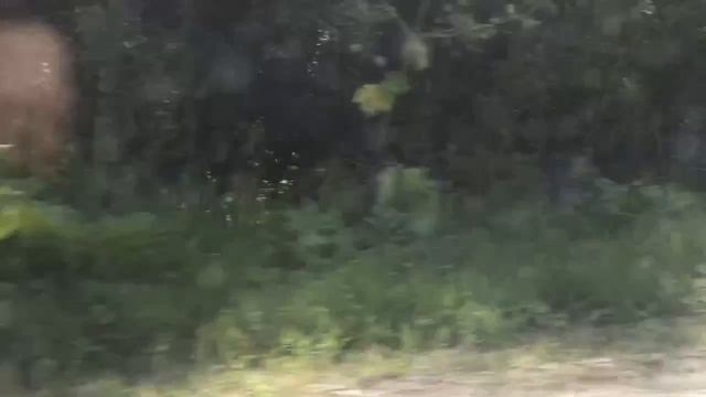 549627198_456240856.mp4