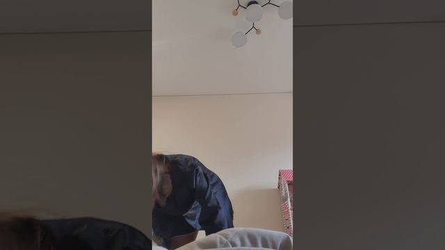 влог 2