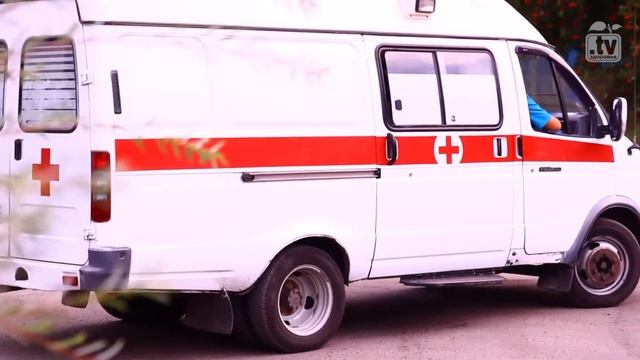 КАК ДОВЕРИЕ ВЛИЯЕТ НА ТВОЁ ЗДОРОВЬЕ| ДОВЕРИЕ | 8 ПРИНЦИПОВ ЗДОРОВЬЯ