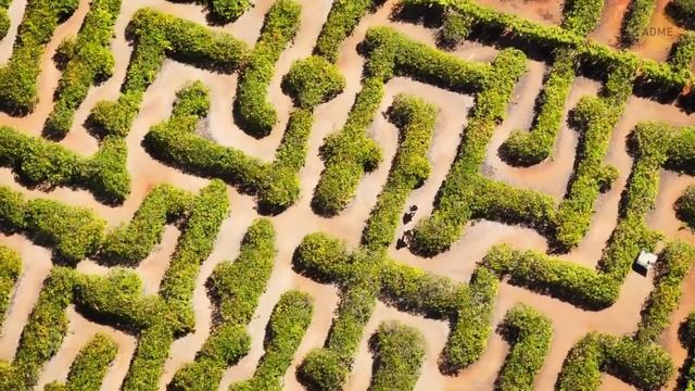 Почему никто не может войти в эту комнату в США