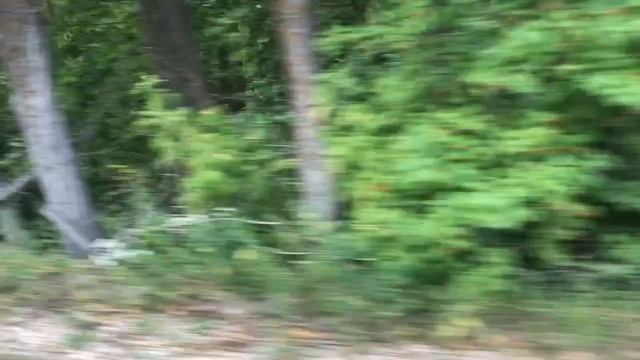 549627198_456240745.mp4