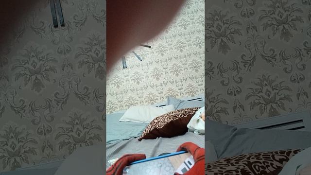 играем в school boy