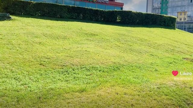 Мимо не смогла пройти