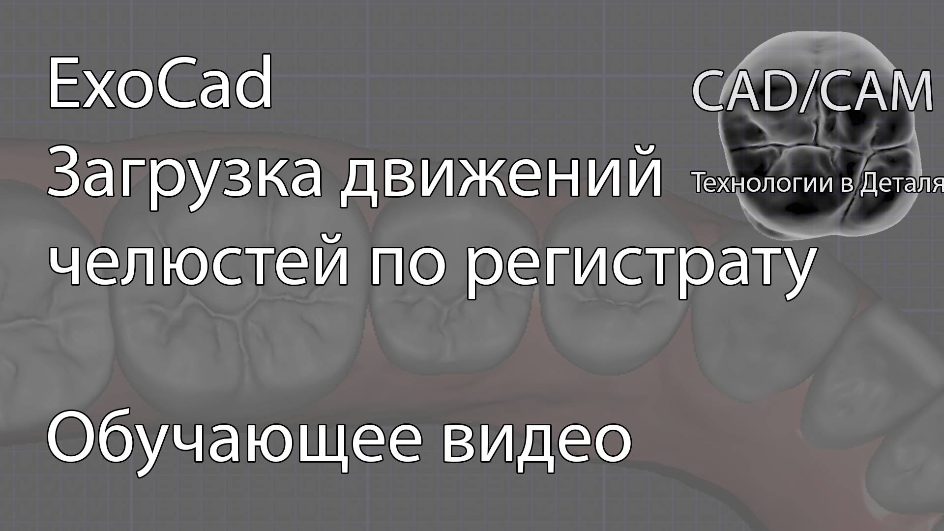 Загрузка движений челюстей по регистрату