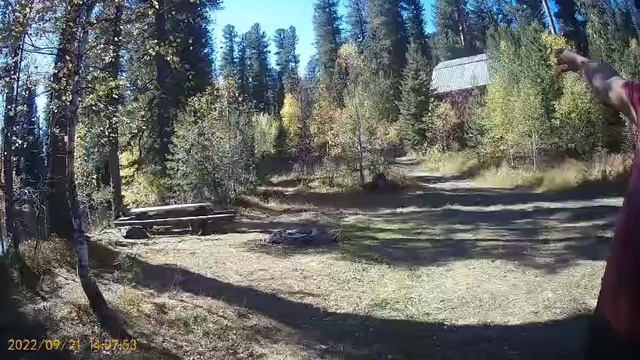 Однажды в телецкой тайге 
из видео архива Дмитрия Дуткина.