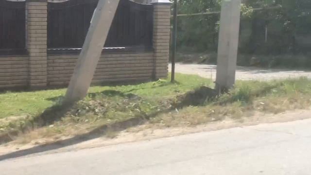 549627198_456240818.mp4