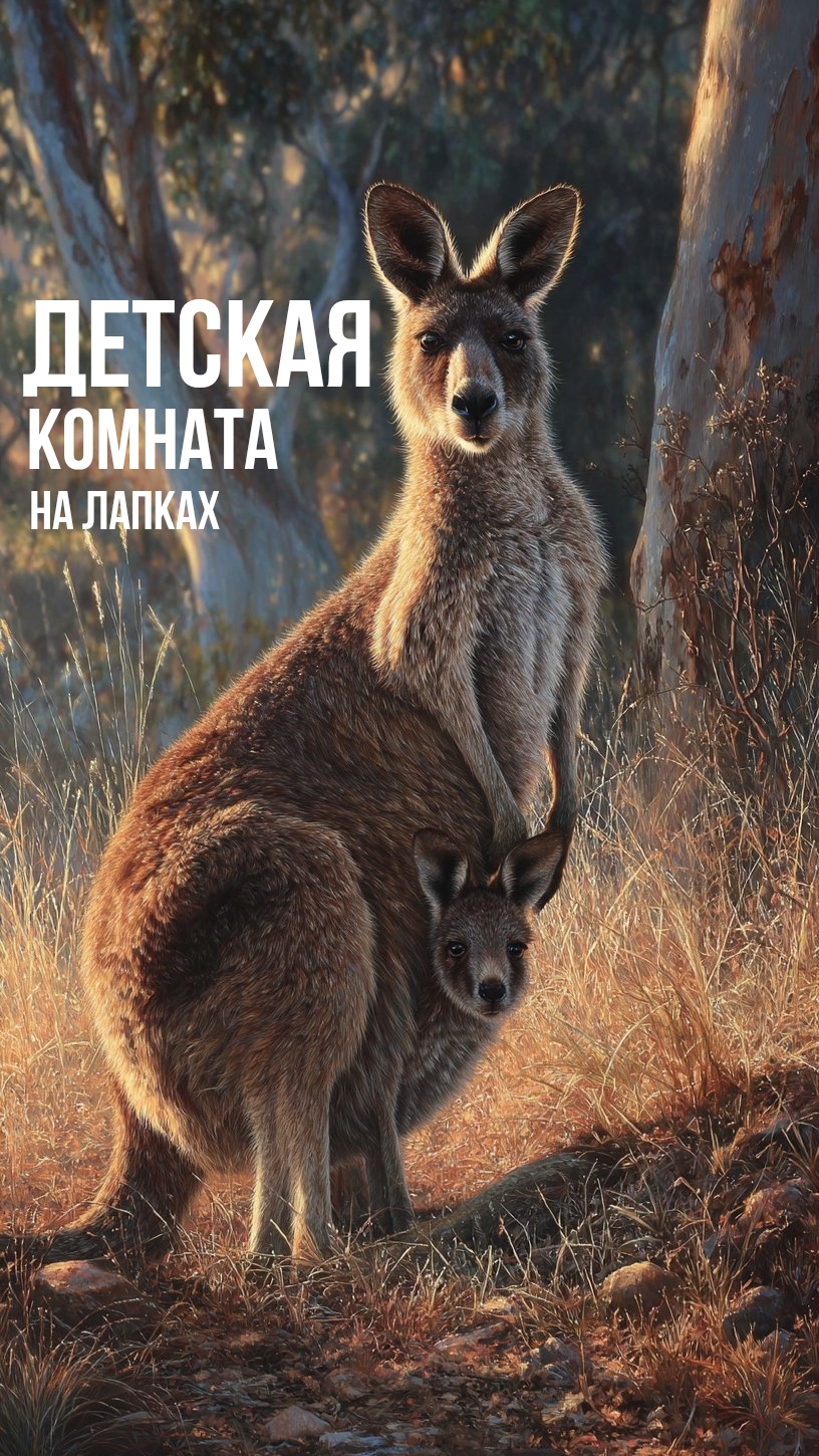 Детеныши кенгуру любят мамину сумку #животные #интересно #кенгуру #факты