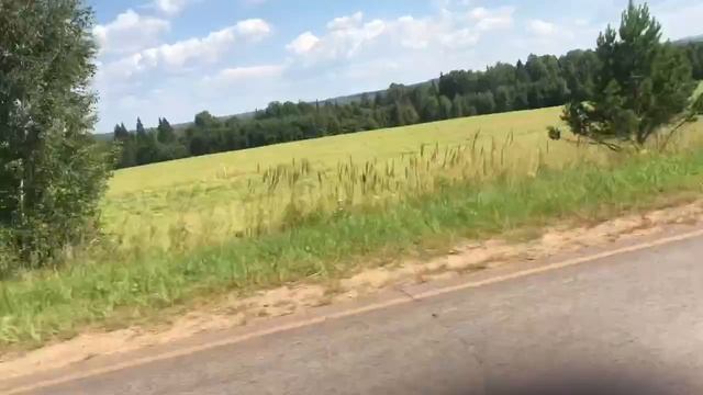 549627198_456240833.mp4