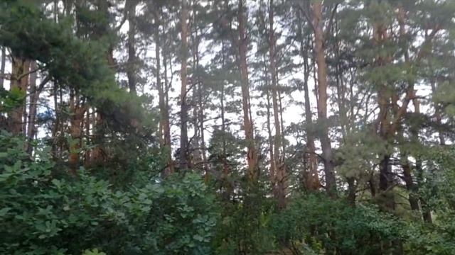 Кира Бирюкова | ТОЧКА.РФ – МЕСТО | село Становое