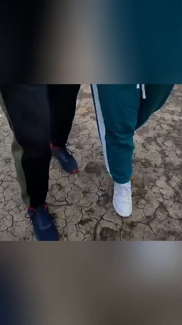 Вдохновила на стартап

#женскийсериал
#аффирмации
#медитации
#счастливыйбрак
#стартапвека
#старт.mp4