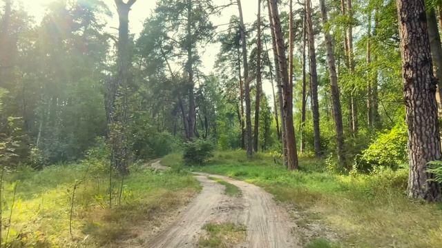 Лесопарк ЛЕБЯЖЬЕ