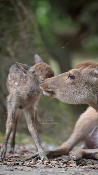 VID_20250805_163515_456.mp4