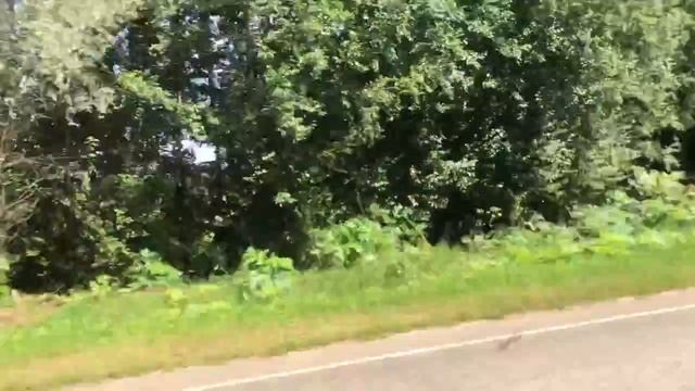 549627198_456240809.mp4