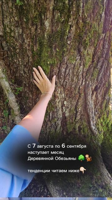 Общий прогноз на Месяц Деревянной Обезьяны 🌳🐒 (甲申) продолжение в описании