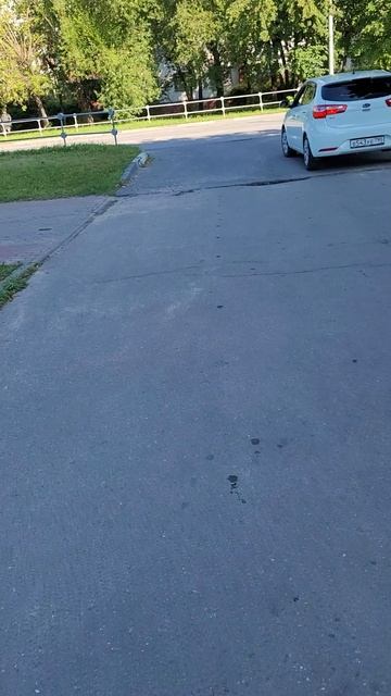 Не снижает скорость, увидев прохожего или специально...В543УЕ790 Kia белая