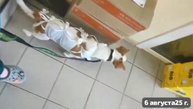 Куколка после операции собирается завтра домой из больницы