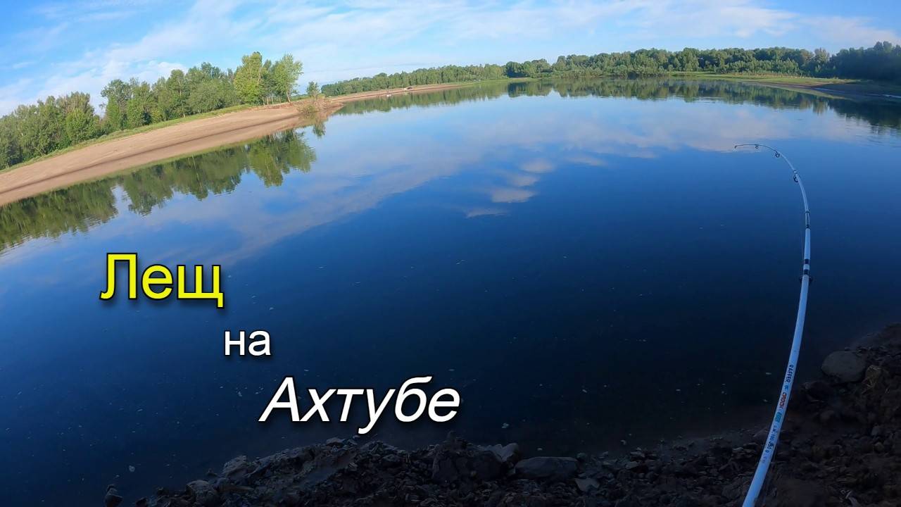 Ловля леща на жмыховку с кукурузой