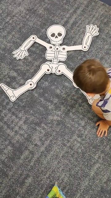 Скелет. Подвижный макет из картона