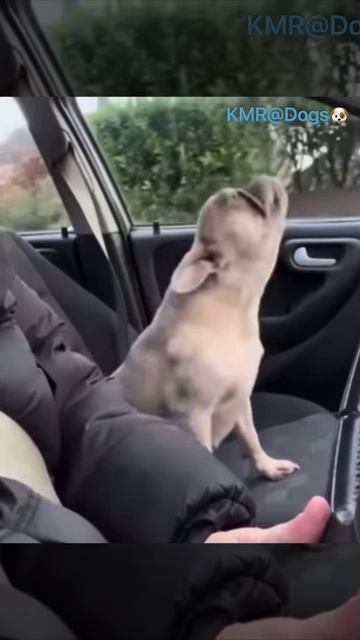 Наконец-то потеплело и повезли на дачу🕺😂