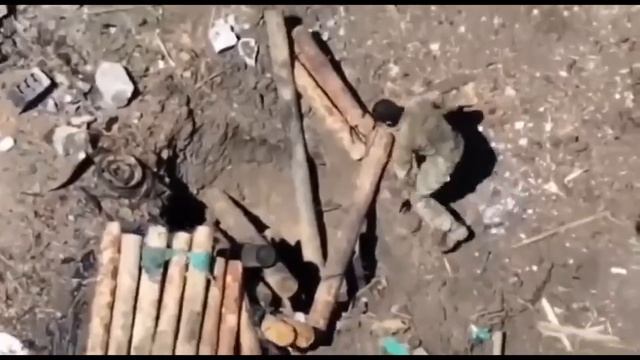 что вы знаете о радости? в такую жару бутылка воды - настоящее счастье!