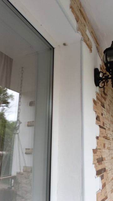 снимаем странного мотылька и какашки паука