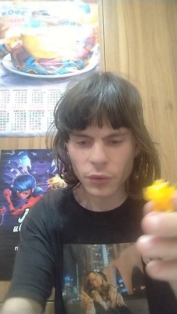 Обзор фигурки покемонов