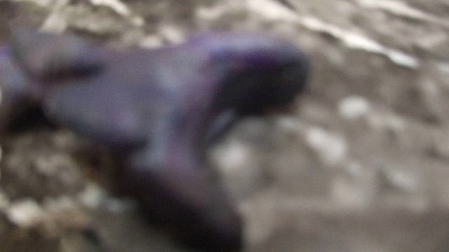 скибиди пластелин 3