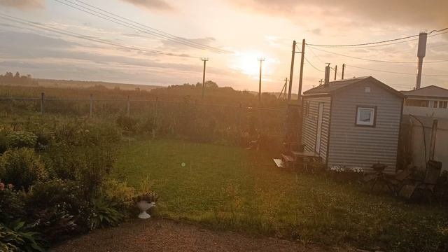 Элвис и Шанталь под дождём на закате