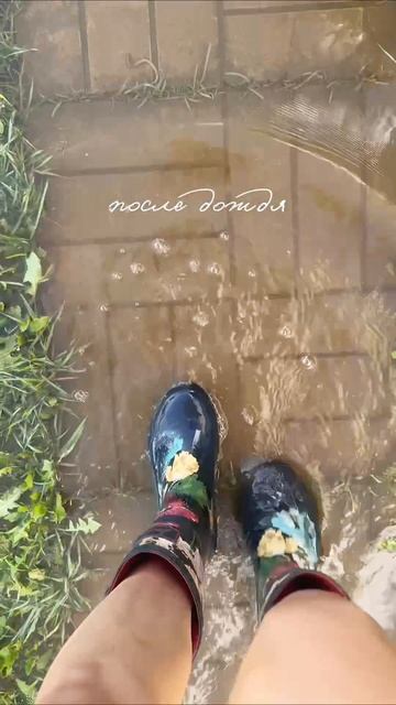 #лето #красота #природа #рек