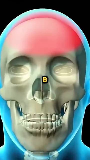 Польза горячей воды, Ваше здоровье