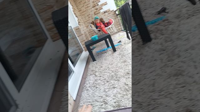 угадываем brain road животных