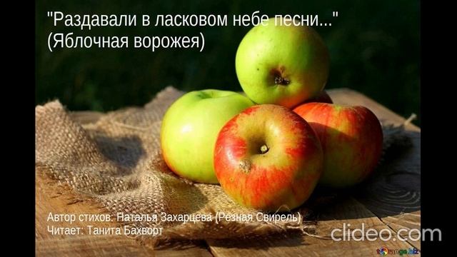 «Раздавали в ласковом небе песни...»