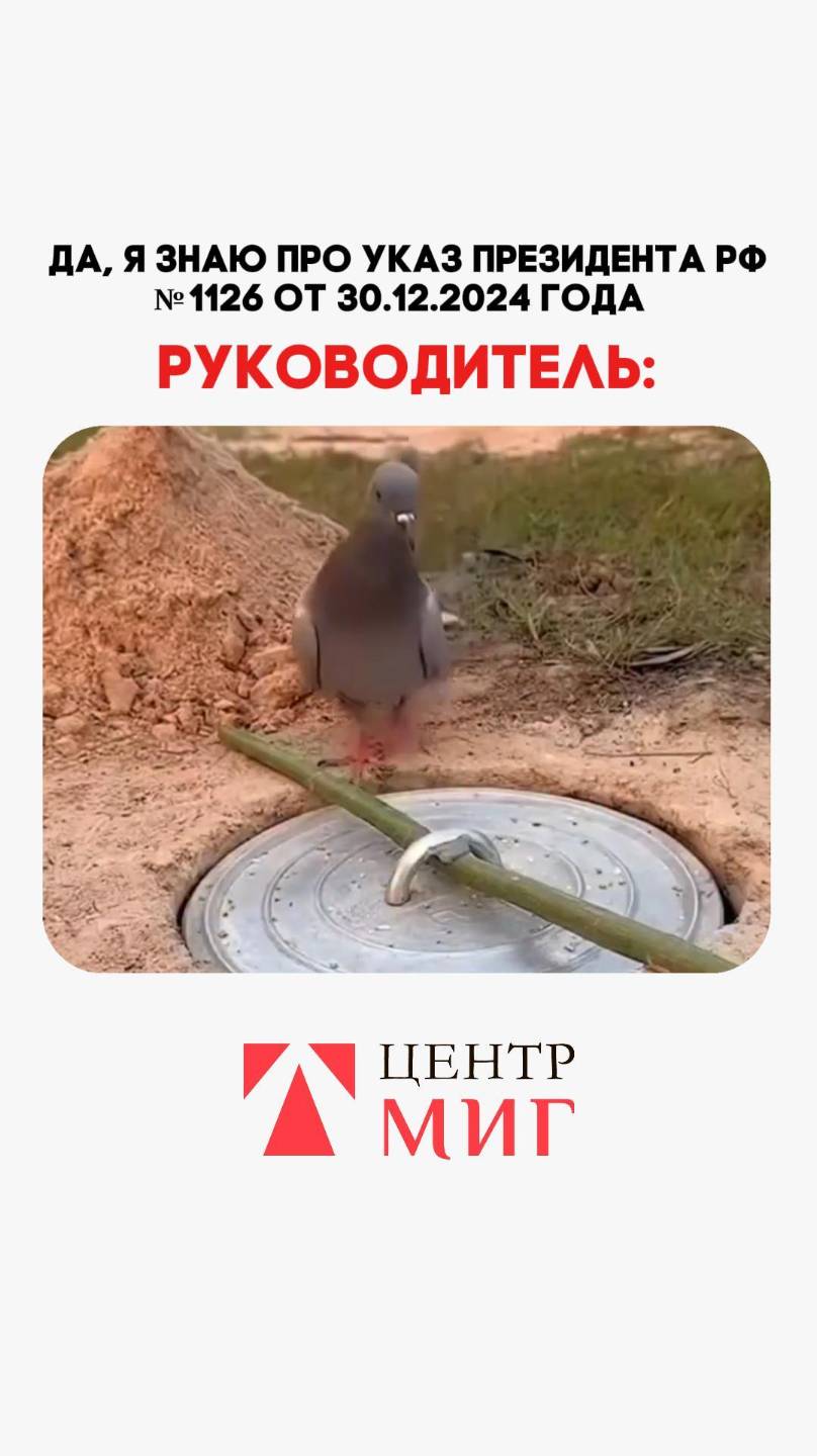 НОВЫЙ УКАЗ ПРЕЗИДЕНТА В.В.ПУТИН