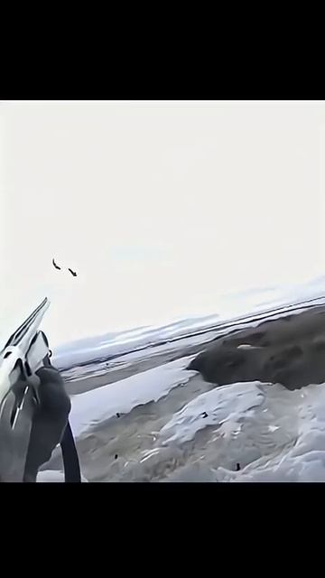 Одним выстрелом 🕊️🕊️🎯