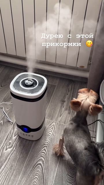 Что то новенькое