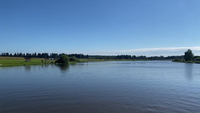 Запуск карпа в водоем