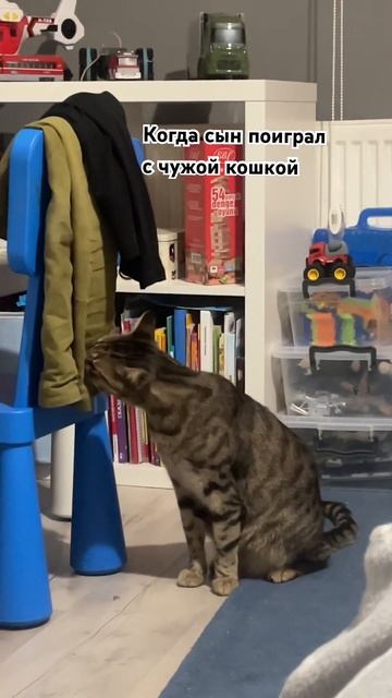 Предательство