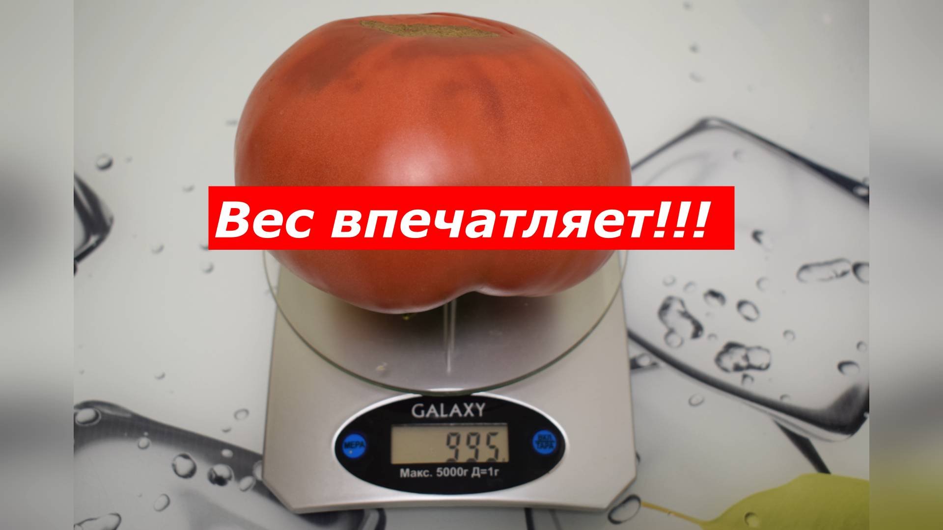 Очень вкусный крупноплодный сорт!