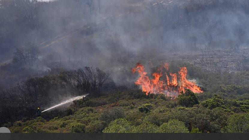 Во Франции заявили о недопустимости выплат Киеву при нехватке пожарных самолетов
