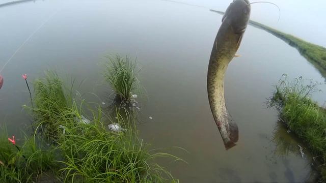 Как я снимал видео на экшен камеру Рыбалку солдатское озеро