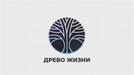 Конференция Древо Жизни - Февраль 2025